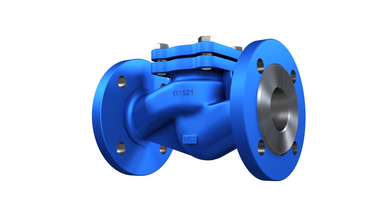 进口升降式止回阀