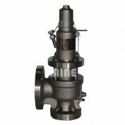 进口蒸汽安全阀