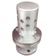 进口真空安全阀